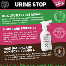Carica l'immagine nel visualizzatore di Gallery, C&amp;G Urina Stop Spray per Repellente Gatti e Cani | e Gatti...