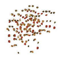 Carica l'immagine nel visualizzatore di Gallery, Tetra TetraMin Granuli per Pesci, 250 ml 250