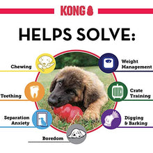 Carica l'immagine nel visualizzatore di Gallery, KONG - Puppy Gioco gomma naturale per dentizione - Masticare e riportare - S - Ilgrandebazar