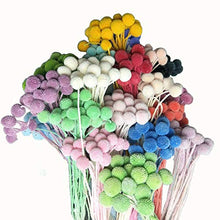 Carica l'immagine nel visualizzatore di Gallery, INVISIKAYAK Craspedia Globosa Materiale Fiore Immortal 40pcs, Creamy-white - Ilgrandebazar