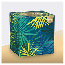 Carica l'immagine nel visualizzatore di Gallery, Kleenex Collection Box Fazzoletti, 12 Scatole da 56 Pezzi - Ilgrandebazar