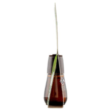 Carica l'immagine nel visualizzatore di Gallery, Airwick Ricariche per Diffusore di Oli Essenziali alla Fragranza di Timo e Limone Rinfrescanti, 1 pezzo