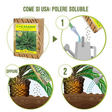 Carica l'immagine nel visualizzatore di Gallery, I Consigli Dell'Esperto Cycasana Concime Specifico per Cycas