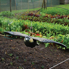Carica l'immagine nel visualizzatore di Gallery, Defenders - Esca volante a forma di falco 9.4x51.5x33.3 cm, Multicolore