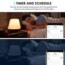 Carica l'immagine nel visualizzatore di Gallery, Gelvova Presa Intelligente,Smart Wifi Plug con supporto APP Alexa/Google...