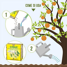 Carica l'immagine nel visualizzatore di Gallery, I Consigli Dell'Esperto Citrus Concime Minerale Specifico per Agrumi