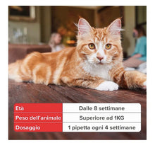 Carica l'immagine nel visualizzatore di Gallery, 4