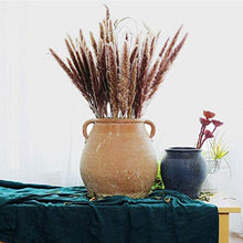 Carica l'immagine nel visualizzatore di Gallery, WELLXUNK Erba di Pampa Secca Naturale, phragmites Colore Primario