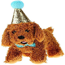 Carica l'immagine nel visualizzatore di Gallery, AYWFEY confezione da 2 graziosi cappellini di compleanno per animali...