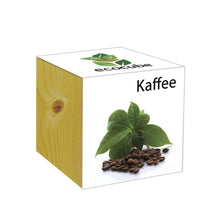 Carica l'immagine nel visualizzatore di Gallery, Extragifts ecocube Caffè - piante nel cubo di legno verde - Ilgrandebazar