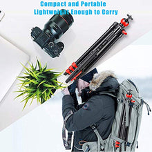 Carica l'immagine nel visualizzatore di Gallery, BONFOTO - Treppiede per fotocamera, portatile, in alluminio, con testa a...