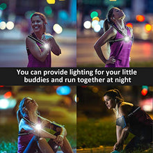 Carica l'immagine nel visualizzatore di Gallery, Running Light Ricaricabile USB, SGODDE Luce Corsa 2 Modi 500 LM Impermeabile...