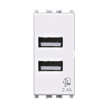 Carica l'immagine nel visualizzatore di Gallery, Presa USB da muro 2.4 Ampere, Compatibile con Vimar Plana, Bianca Bianco