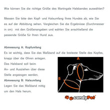 Carica l'immagine nel visualizzatore di Gallery, candyPet collare per cani in cotone - Martingal 5cm (30-50cm), Zigzag
