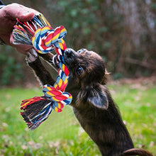 Carica l'immagine nel visualizzatore di Gallery, Angelland Giochi per Cani, da Bottiglia Frutta e Verdura con Combinazione di... - Ilgrandebazar
