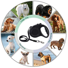Carica l'immagine nel visualizzatore di Gallery, Queta Guinzaglio Retrattile per Cani, 5M 5m - Ilgrandebazar