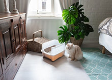 Carica l'immagine nel visualizzatore di Gallery, Iris Ohyama, lettiera per gatti con pala - Cat Litter Box - Marrone grigio