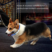 Carica l'immagine nel visualizzatore di Gallery, Zacro Collare di Cane LED, per cane LED Lampeggiante, di... - Ilgrandebazar