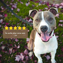 Carica l'immagine nel visualizzatore di Gallery, VITAZOO guinzaglio per cani in nero grafite, compatto e regolabile su misure... - Ilgrandebazar