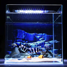 Carica l'immagine nel visualizzatore di Gallery, CPROSP Illuminazione a LED per Acquario con Timer, 3 Colori 12W 28-46CM