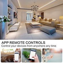 Carica l'immagine nel visualizzatore di Gallery, Presa Intelligente Wifi, Avatar Controls Wifi Spina Smart 2 Pack