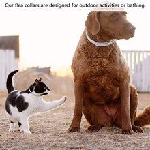 Carica l'immagine nel visualizzatore di Gallery, BESLIME 2Pcs Collare antipulci per Gatti, Antipulci Cane Gatto,...