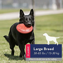 Carica l'immagine nel visualizzatore di Gallery, KONG - Flyer - Frisbee in Gomma Resistente per Cani- Cani di Taglia...