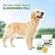 Carica l'immagine nel visualizzatore di Gallery, AniForte Omega-3 Capsule di Olio Salmone per Cani e Gatti 500 -...