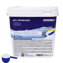 Carica l'immagine nel visualizzatore di Gallery, Nortembio Pool PH+ Plus 6,5 kg, Elevatore Naturale di PH per Piscina e 6.5 kg