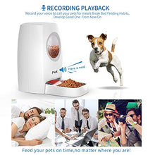 Carica l'immagine nel visualizzatore di Gallery, PUPPY KITTY Distributore Automatico di Cibo per 6L Con vasca in acciaio inox