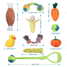 Carica l'immagine nel visualizzatore di Gallery, Angelland Giochi per Cani, da Bottiglia Frutta e Verdura con Combinazione di... - Ilgrandebazar