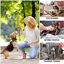 Carica l'immagine nel visualizzatore di Gallery, PetGens Dummy per Cani, Massaggiagengive a forma di salsicciotto e rotolo,...