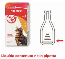 Carica l'immagine nel visualizzatore di Gallery, 2