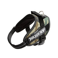 Carica l'immagine nel visualizzatore di Gallery, Julius K9 3154.81C Mini,Cm49-67,Kg7-15, S, Camouflage Mini, camouflage - Ilgrandebazar