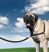 Carica l'immagine nel visualizzatore di Gallery, PetSafe Croci C5066239 Pettorina x-large, Black - Ilgrandebazar
