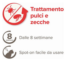 Carica l'immagine nel visualizzatore di Gallery, 1
