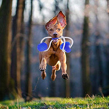 Carica l'immagine nel visualizzatore di Gallery, Nifogo Giocattoli per i Cani Piccoli,Pet Palla con Verde 1