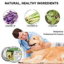 Carica l'immagine nel visualizzatore di Gallery, Collare Antipulci Cane, per Cani e Zecche Regolabile 1pack