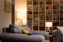 Carica l'immagine nel visualizzatore di Gallery, Osram Lampadina LED Daylight Sensor con sensore crepuscolare, E27, 1 pezzo - Ilgrandebazar