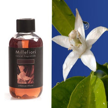 Carica l'immagine nel visualizzatore di Gallery, Millefiori Natural Ricarica per diffusore di 250ml, Legni E Fiori D'arancio - Ilgrandebazar