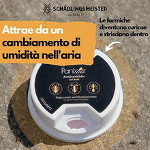 Carica l'immagine nel visualizzatore di Gallery, Panteer ® Lattina di esca per formiche - 4 esche per formiche - Facile controllo delle formiche con veleno per formiche - Contro più di 3 specie - Per interni e per le formiche nel prato