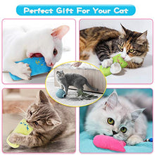 Carica l'immagine nel visualizzatore di Gallery, JOYUE 10 Pezzi Giocattolo Catnip per Gatti, Cuscino in Valeriana, Giocattolo...