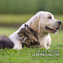 Carica l'immagine nel visualizzatore di Gallery, AniForte Pastiglie per la Pulizia delle Orecchie Cani e Gatti 100 Pezzi...