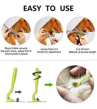 Carica l'immagine nel visualizzatore di Gallery, PROZADALAN [2 PCS] Collare Antipulci Cane, Antiparassitario per Cani per... - Ilgrandebazar