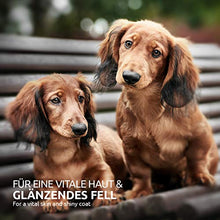 Carica l'immagine nel visualizzatore di Gallery, AniForte Olio di Salmone Premium per cani e gatti 1 litro - Spremuto a...