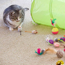 Carica l'immagine nel visualizzatore di Gallery, Sunshine smile giochini Gatto,Set di Giocattoli per Gatti 21 pezzi