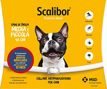 Carica l'immagine nel visualizzatore di Gallery, 4