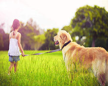 Carica l'immagine nel visualizzatore di Gallery, Manico Animale Domestico Pooper Scooper e Tasche 24 Pollici per Cani, Easy... - Ilgrandebazar