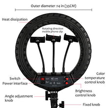 Carica l'immagine nel visualizzatore di Gallery, Pahajim Ring Light Led Luce Anello Kit ad Aggiornato-14 pollici