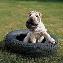 Carica l'immagine nel visualizzatore di Gallery, KONG - Tires - Gioco gomma resistente da masticare, dispenser premi,... - Ilgrandebazar